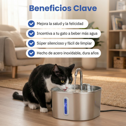 Asirue™ - Protege a tu gato de Infecciones y Enfermedades Renales