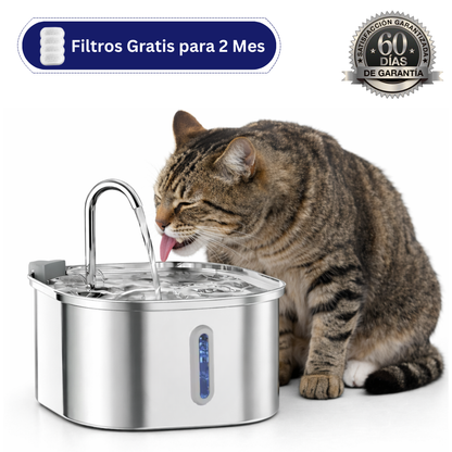 Asirue™ - Protege a tu gato de Infecciones y Enfermedades Renales